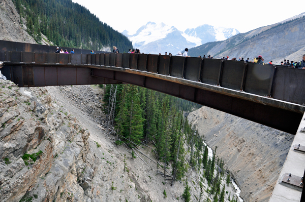 the Glacier Skywalk